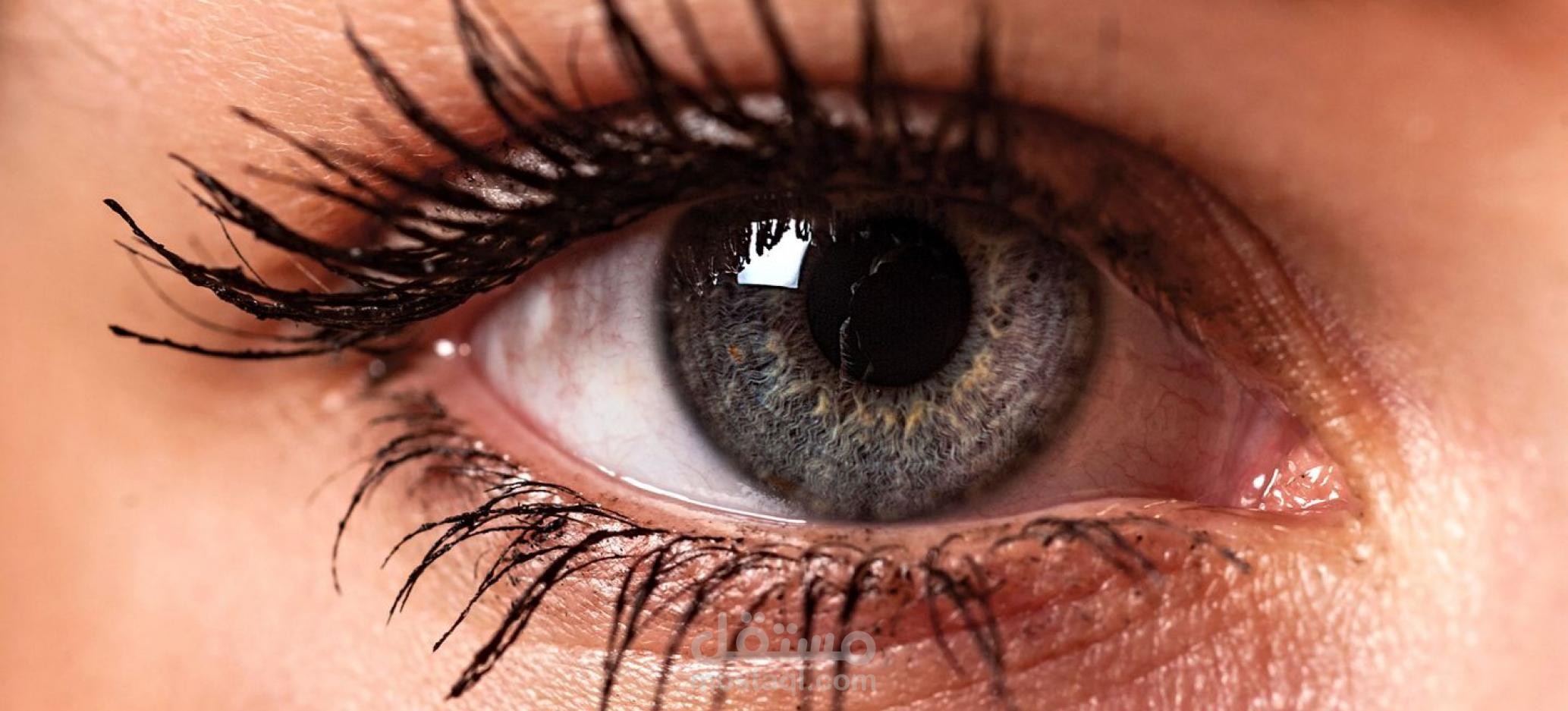 Diabetes Management System(dbms) مستقل