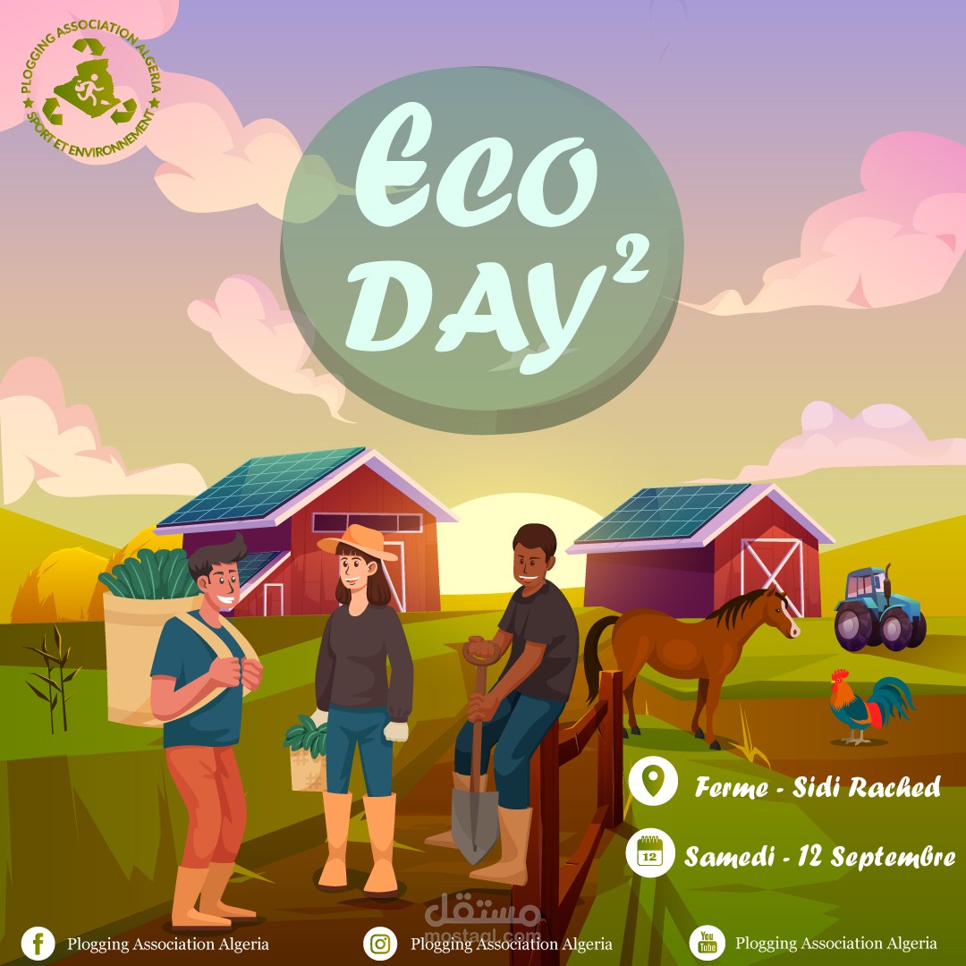 Eco Day Activities