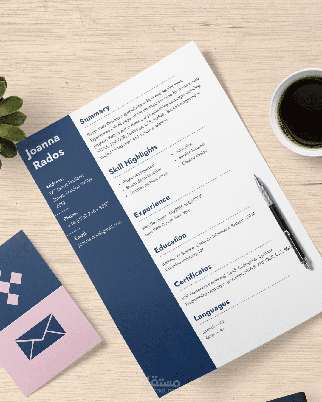 Professional Cv design - Abu Abu Minimalist Resume 