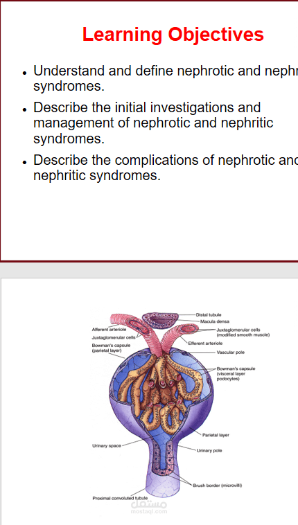 Nephrotic and Nephritic Syndrome | مستقل