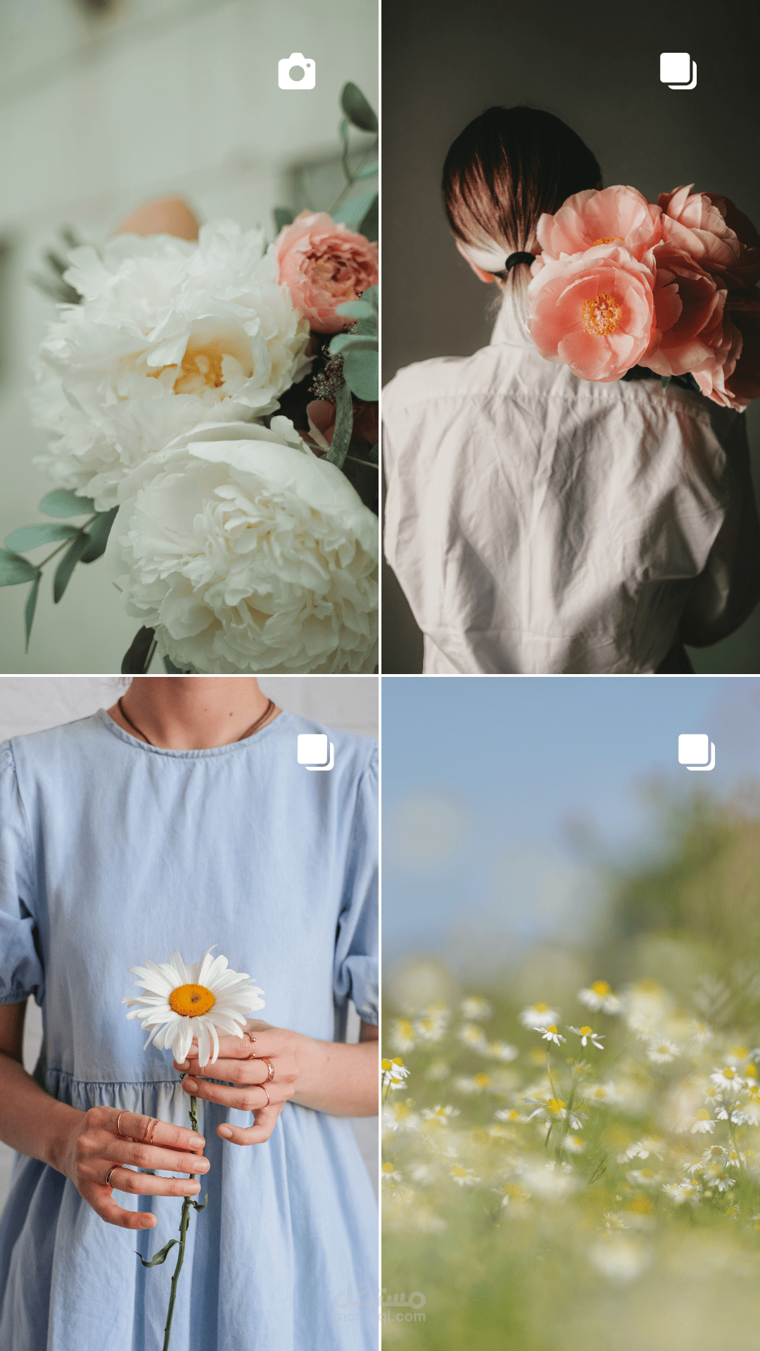 Colorful-A…-Story.png