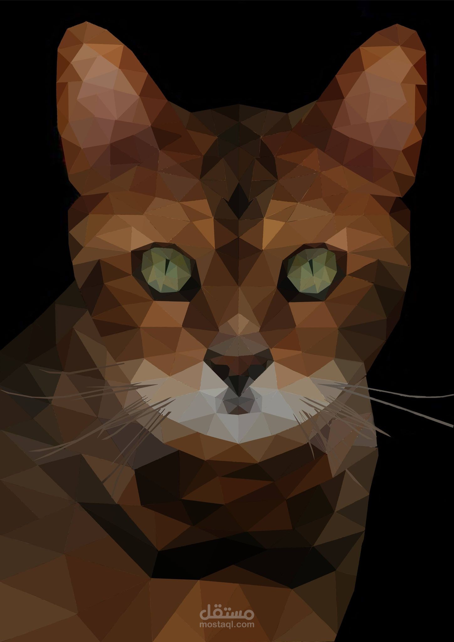 Cat polygon