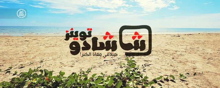 لوجو موقع "شادو توينز " 2017