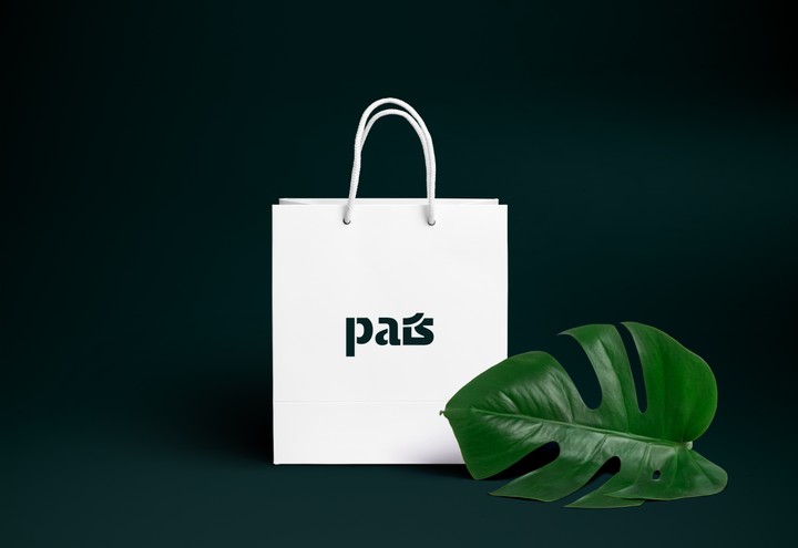 تصميم شعار pais