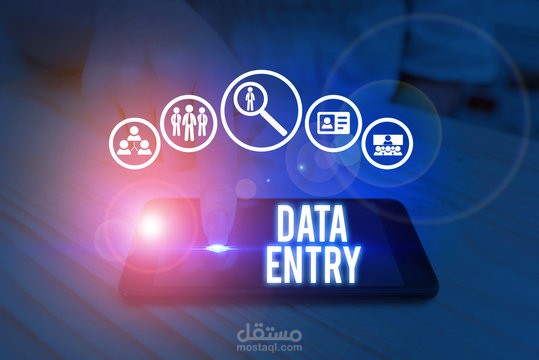 إدخال البيانات Data Entry