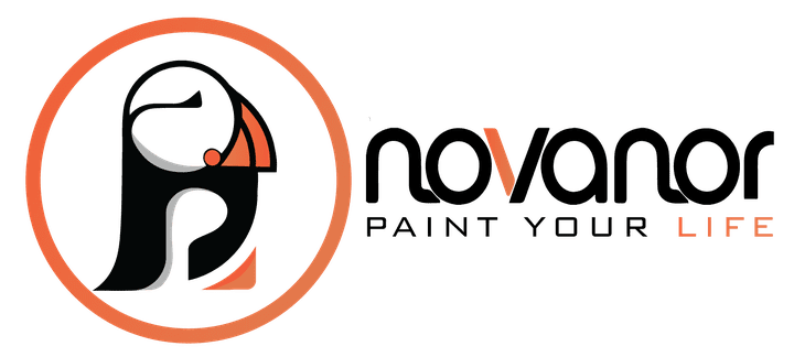 full identity for novanor logo