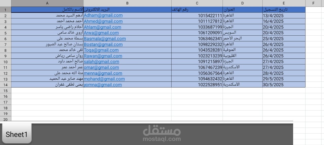 نموذج ادخال بيانات شخصية باستخدام Excel