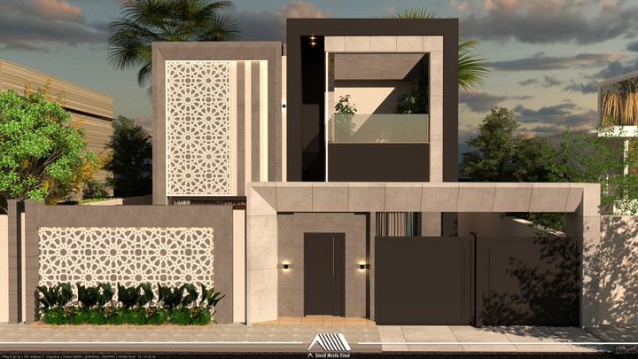 Modern house