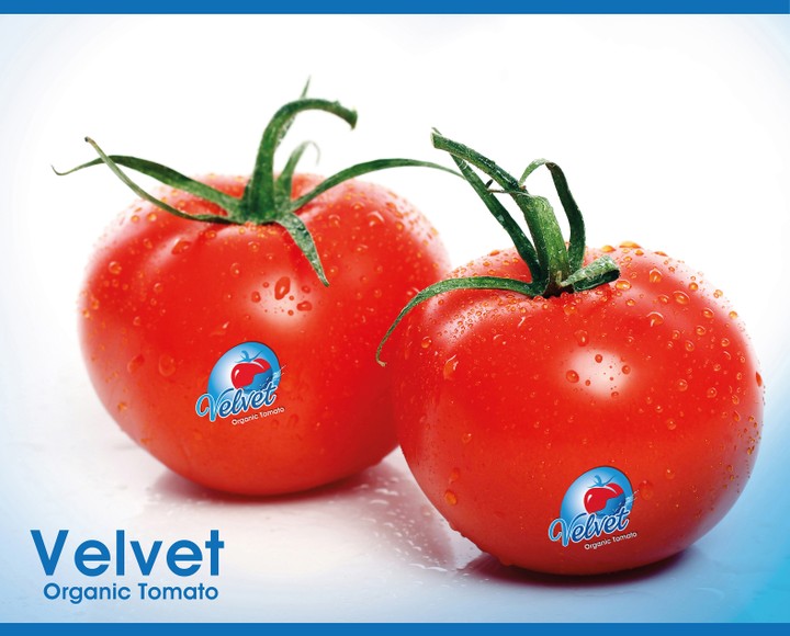 Velvet- Tomato Organic