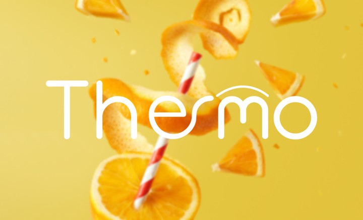 thermo logo design