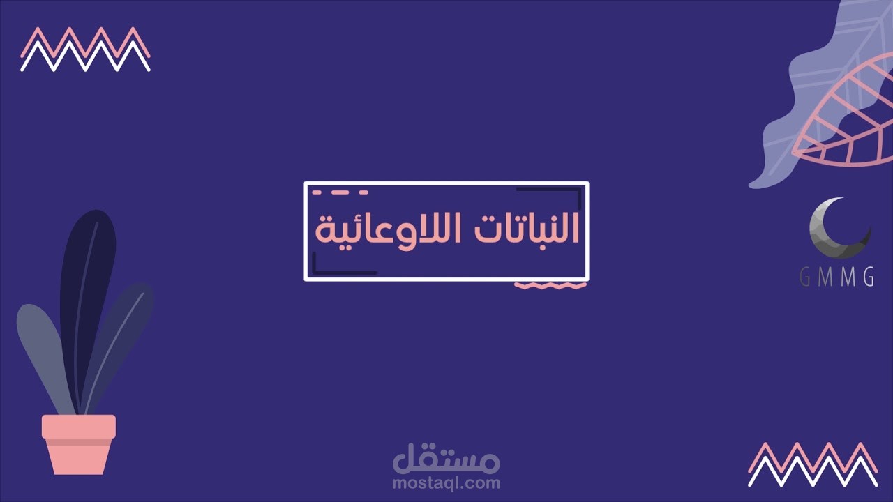 أحد مشاريعي بعنوان النباتات الوعائية