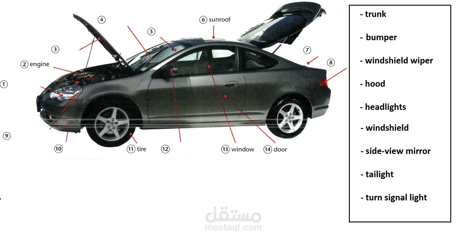 تعلم كلمات جديده