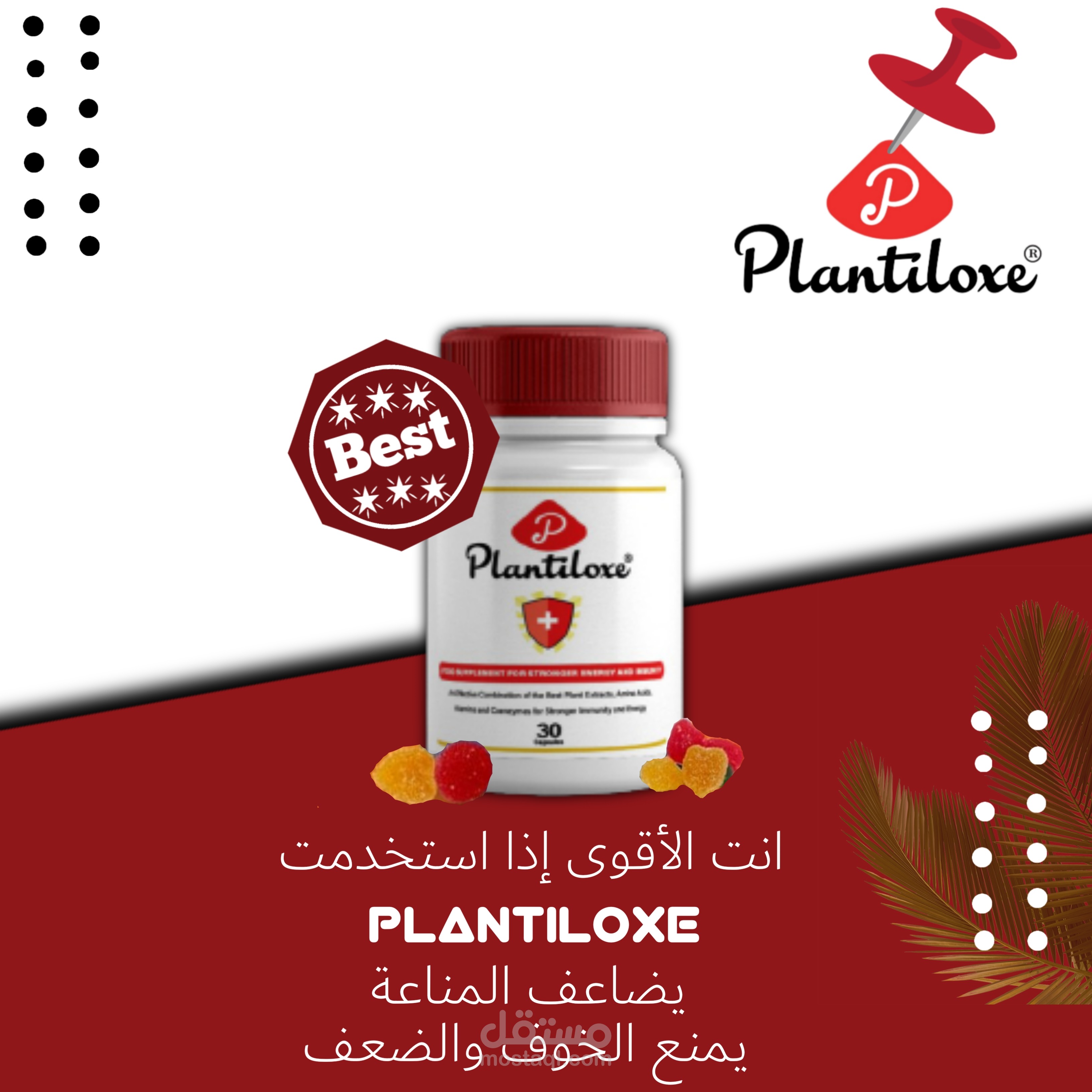 تصميمات لشركة Plantilox للمنتجات التركية