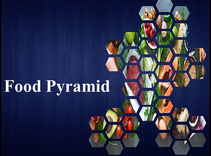 Food Pyramid