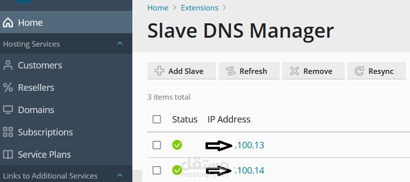 ربط سيرفرين DNS  بلوحة التحكم cPanel/Plesk