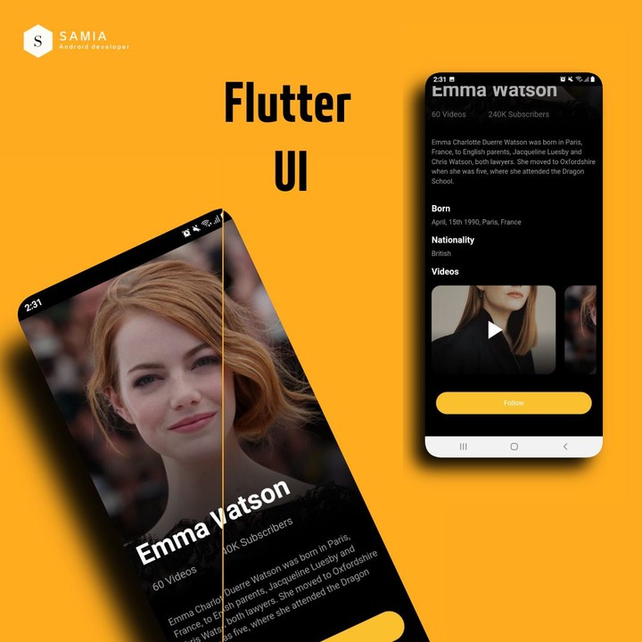 Flutter UI