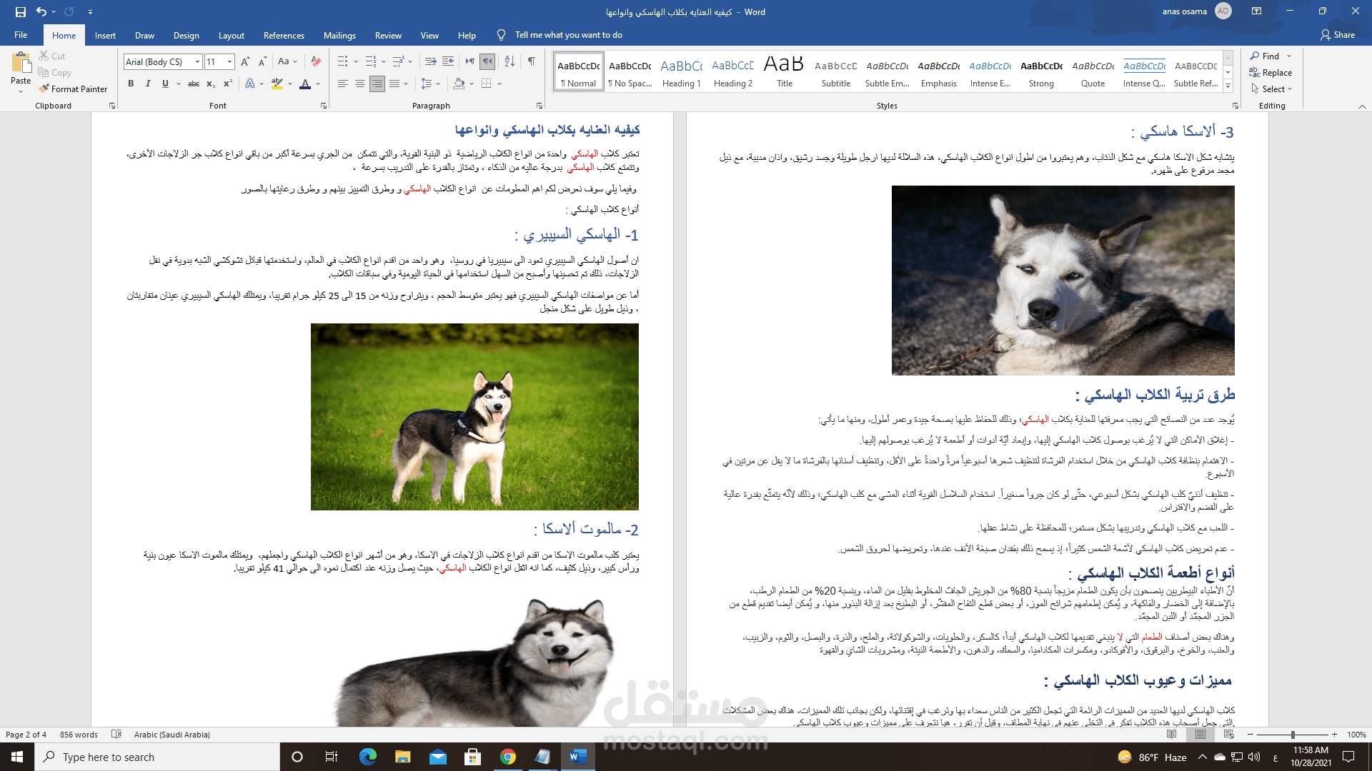 كتابة مقاله عن كلاب الهاسكي