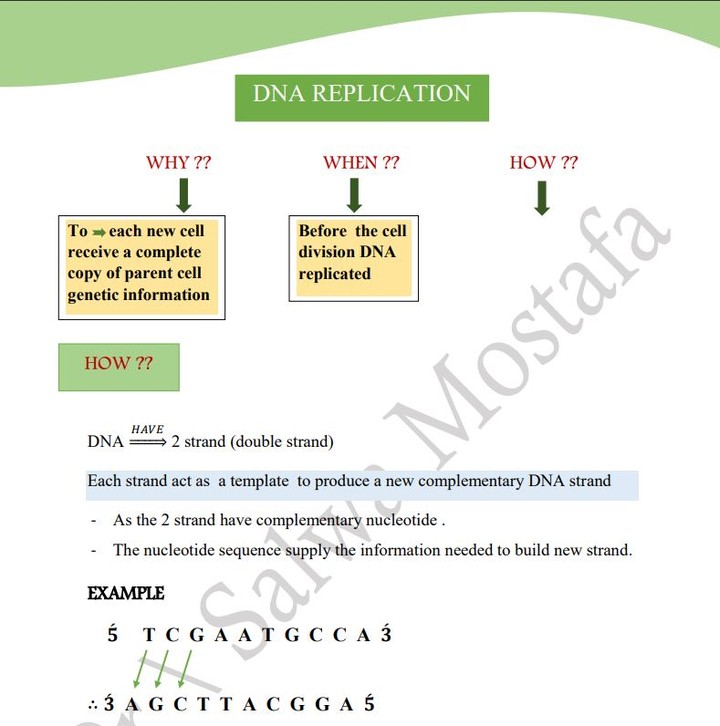 DNA PROJECT DATA ENTRY