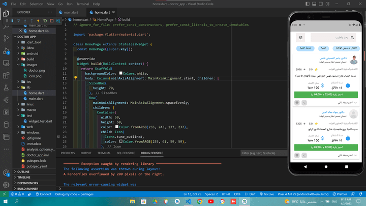 flutter project doctor app