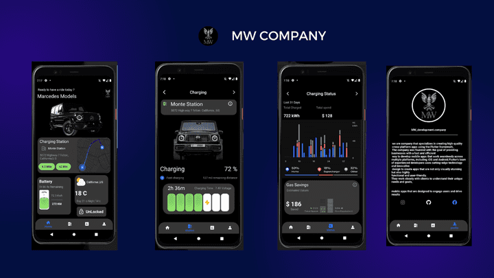 flutter car information app