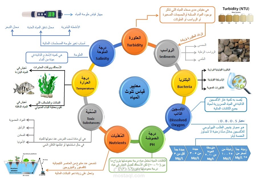 إعداد محتوى وتصميم خريطة مفاهيم مدعومة بالصور على برنامج الوورد