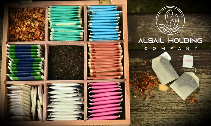 Logo  ALSAIL HOLDIN