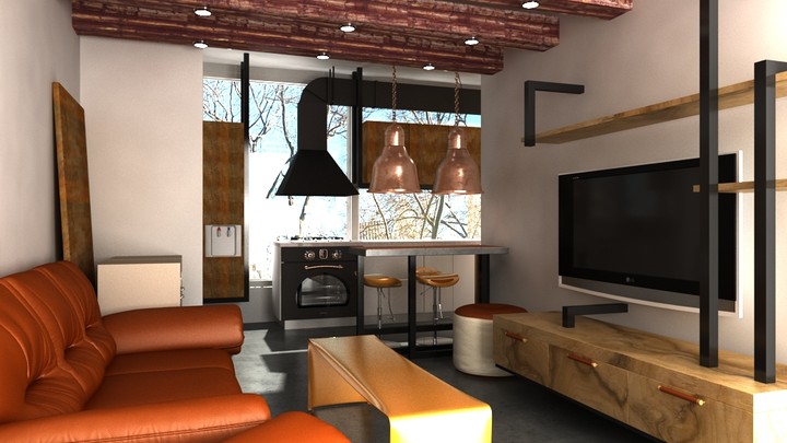 Apartment Design- Industrial Style