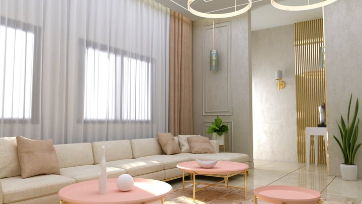 Apartment Design- Neoclassic Style-