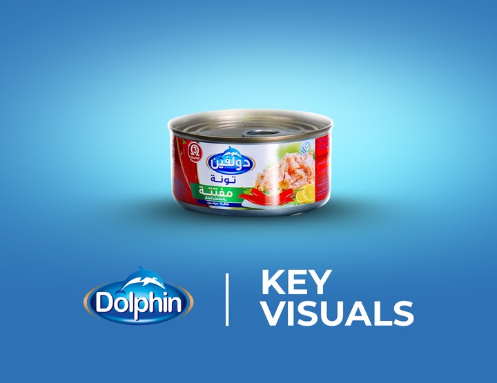 Dolphin Key Visuals