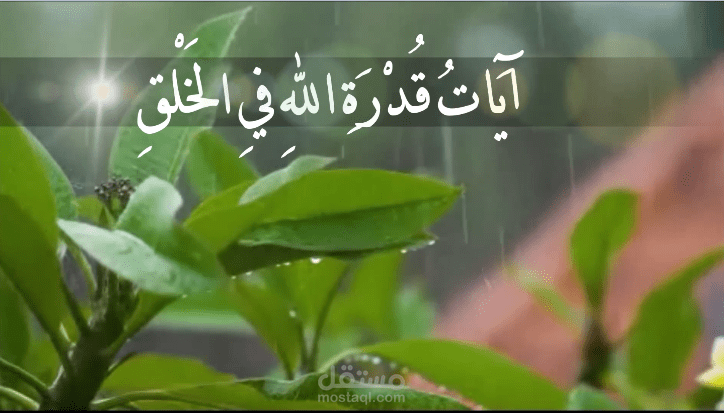 فيديو حول دلائل قدرة الله تعالى