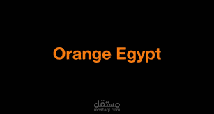 Sales manager at orange egypt