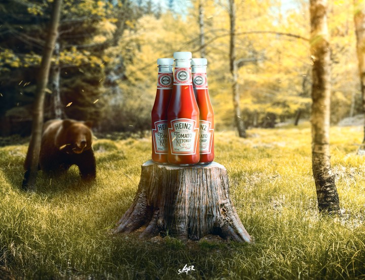 Manipulation design for heinz