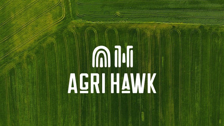 Agri hawk logo