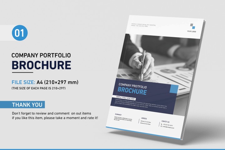 Company Portfolio Brochure