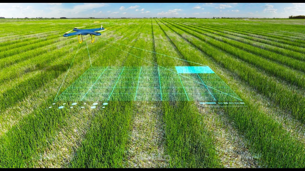 Farm Vision | مستقل