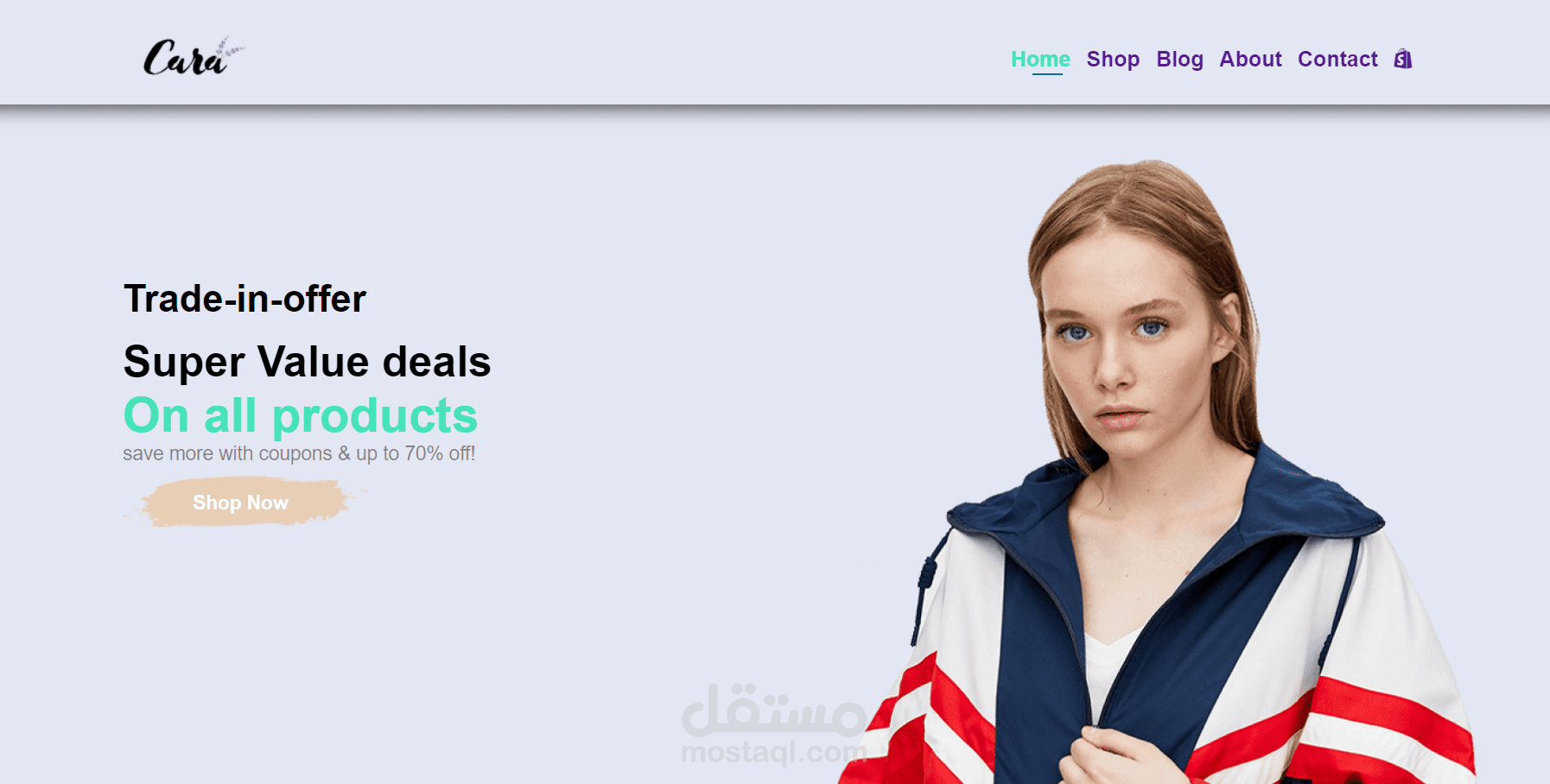 ecommerce website
