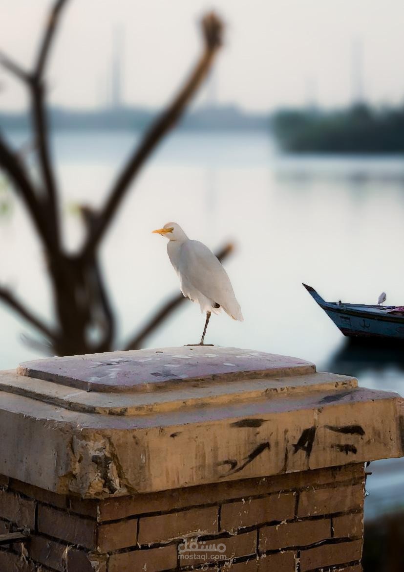 تصوير فوتوغرافي