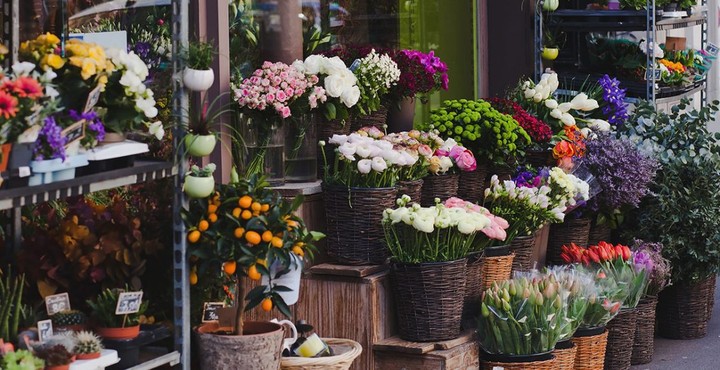 دراسة جدوي بيع الزهور الطبيعية والورود