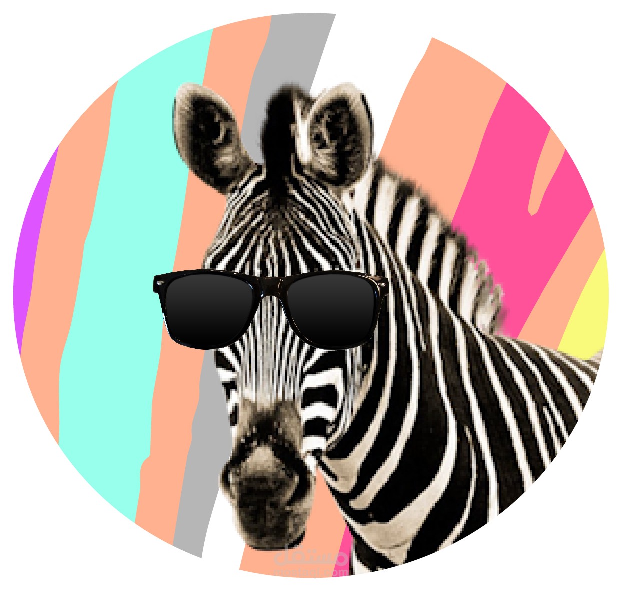 zebra logo