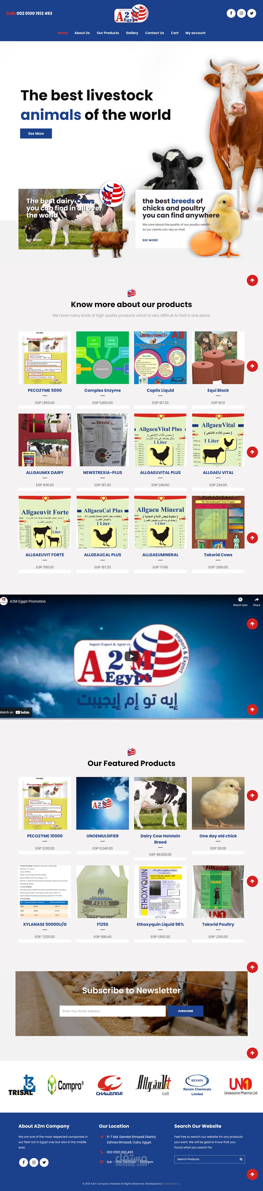 A2megypt Company Website