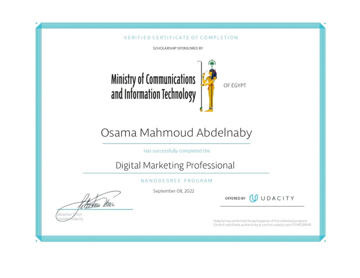 Digital Marketing Professional