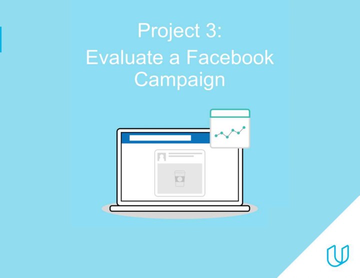 Evaluate a Facebook Campaign