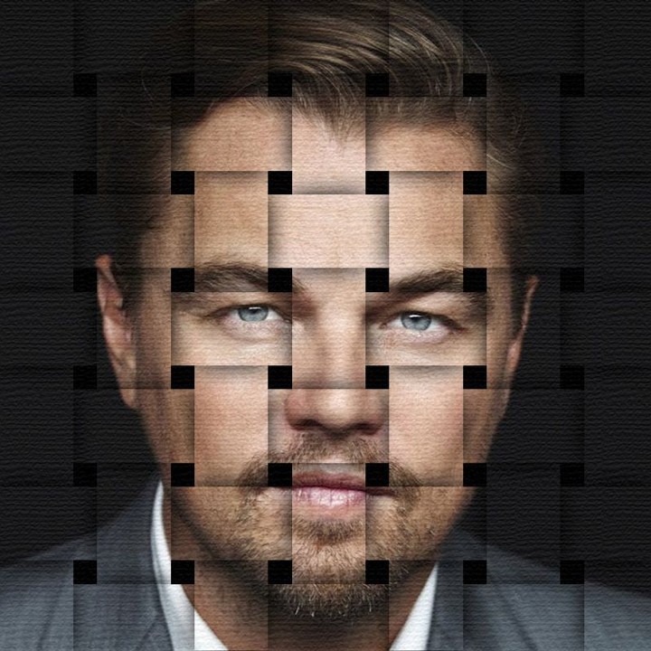 leonardo dicaprio