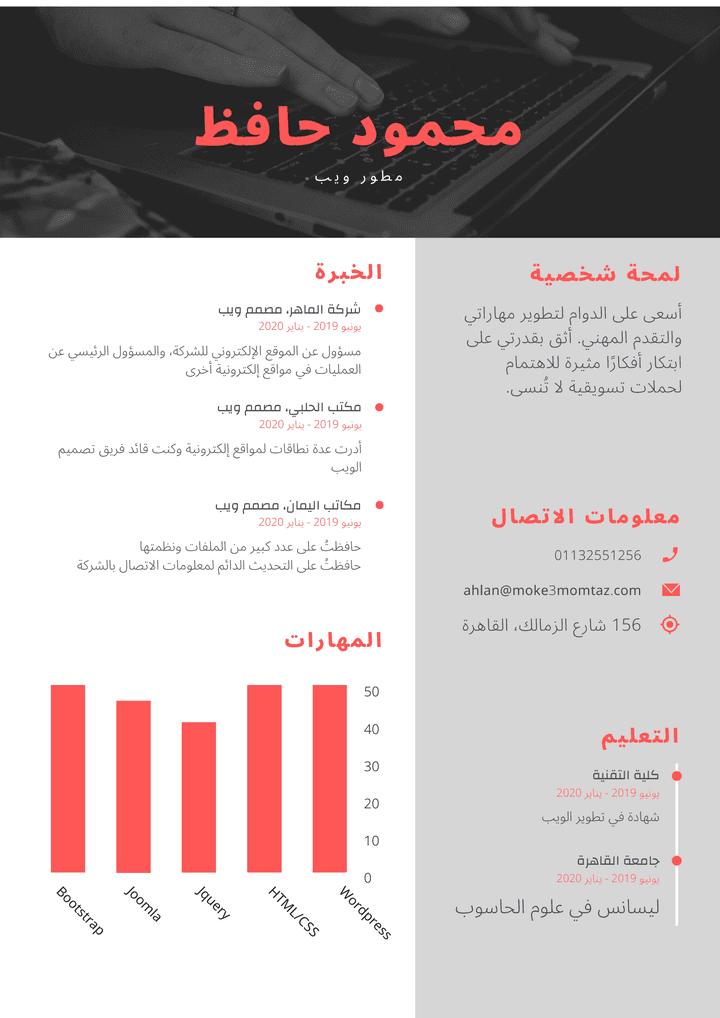 سيرة ذاتية بطريقة إنفوجرافيك