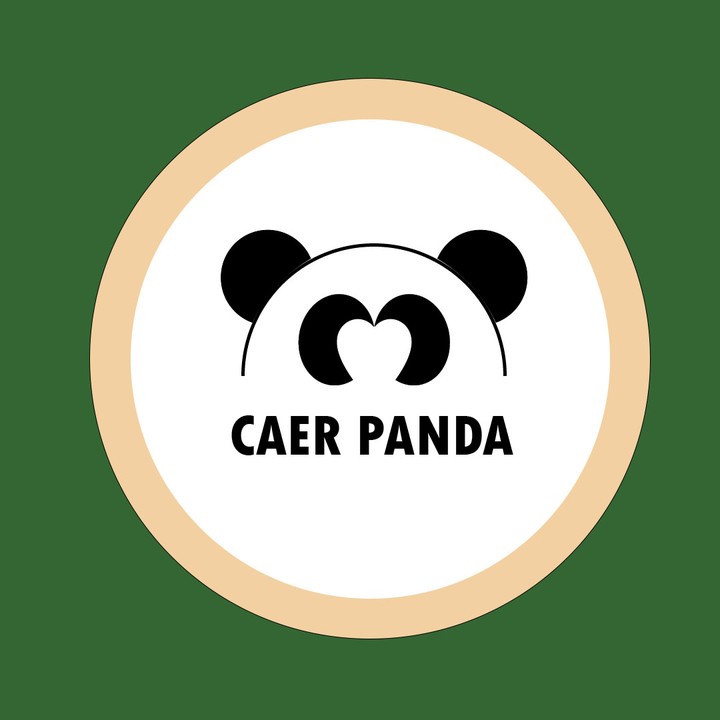 Care Panda LOGO