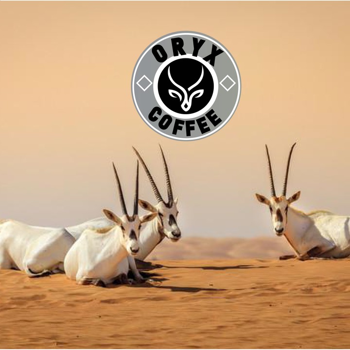 logo oryx design