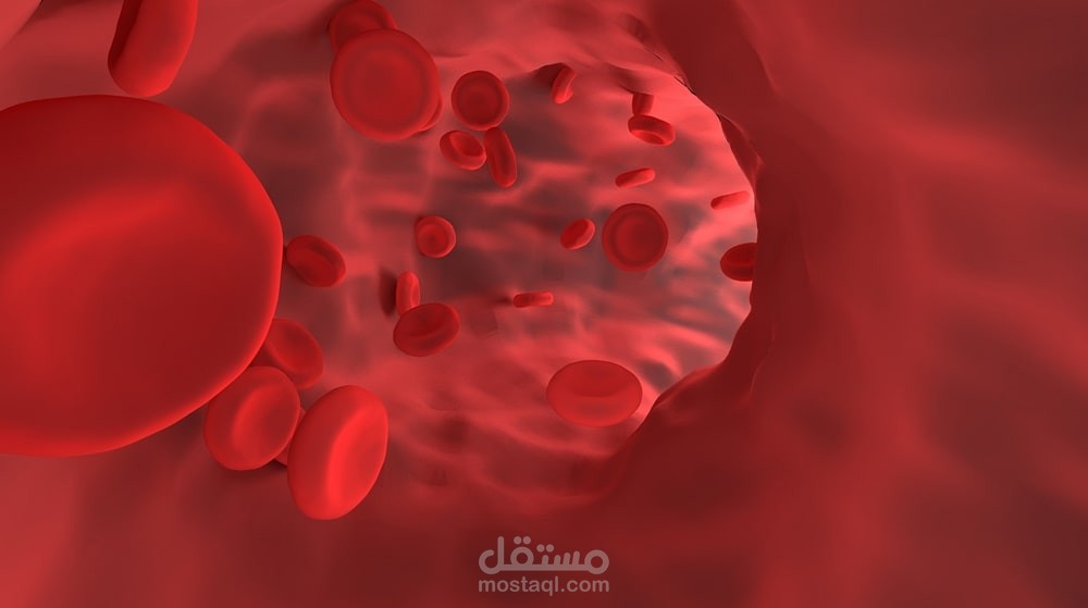 أنواع الأنيميا (Types of anemia)