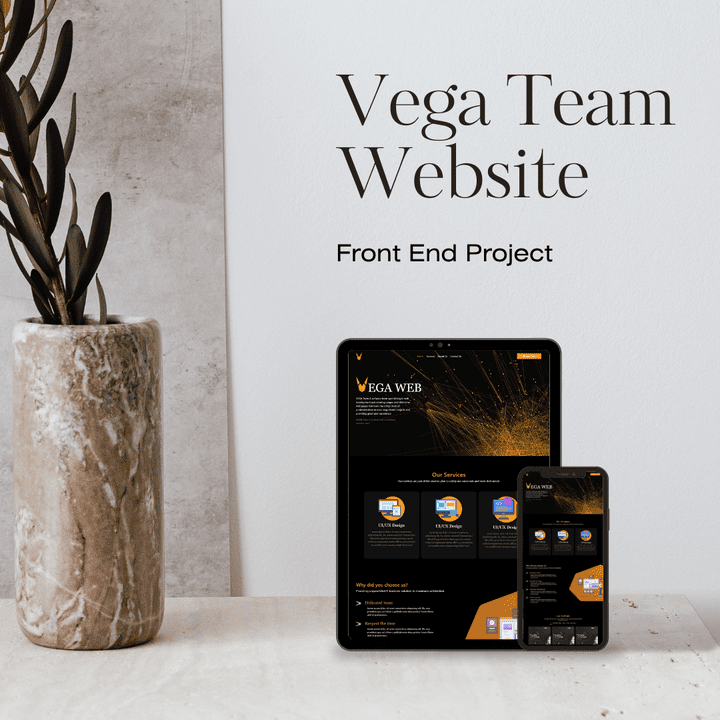 Vega web Team programming