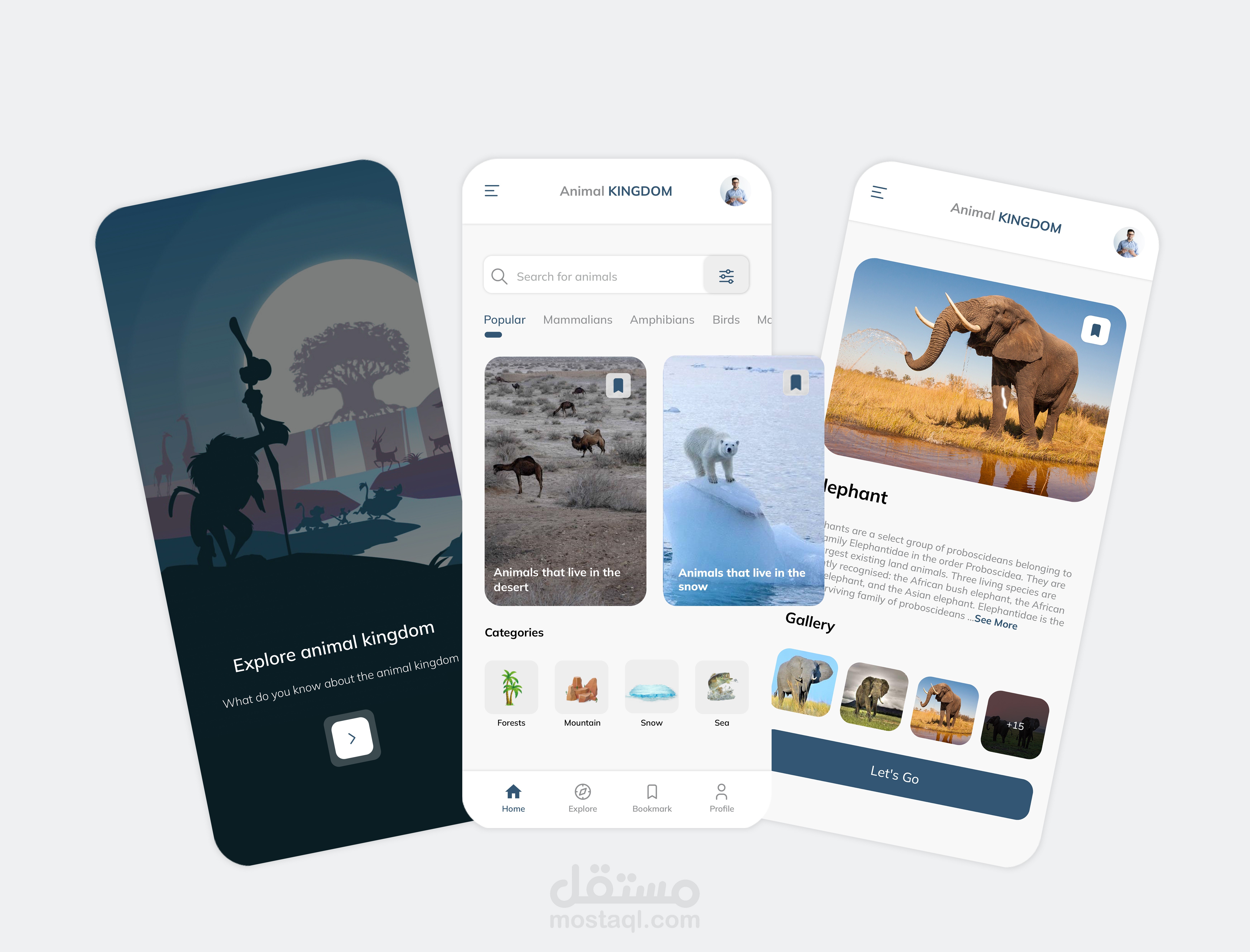 Animal kingdom App UI/UX Design