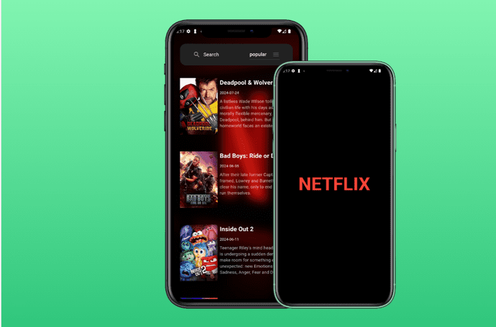 Netflix Movie App